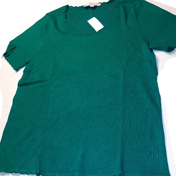 Ann Taylor LOFT Beautiful scallopped edge Short Sleeve Sweater Top☆ XL - Picture 9 of 13